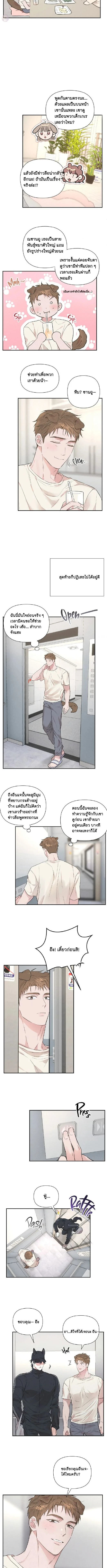 Turning Over A New Paw – พลิกขั้วหัวใจนายหมาป่า ตอนที่ 1 — page 6 of 17