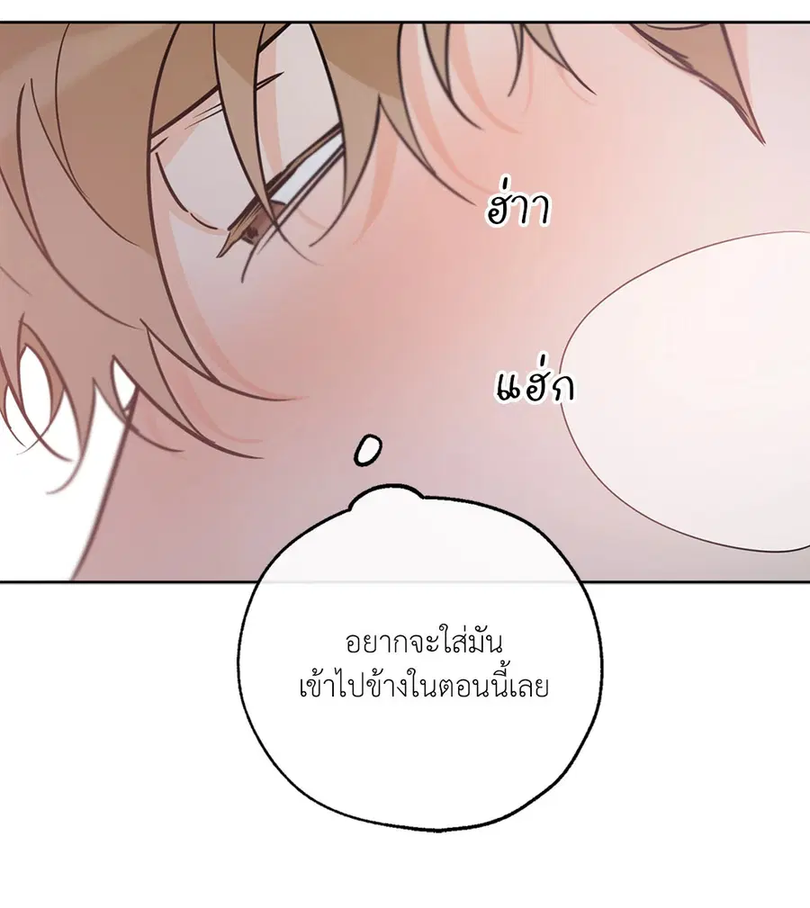 Lucky Paradise ตอนที่ 40 — page 60 of 72