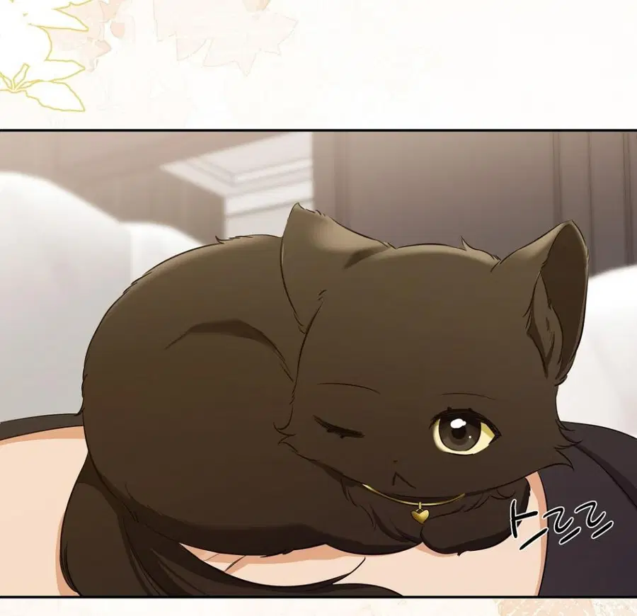 Cat Therapy – ปะปี๊เสพติดเหมียว! ตอนที่ 3 — page 49 of 154
