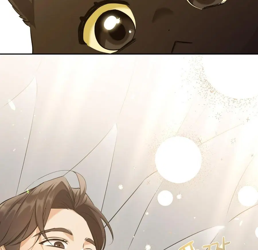 Cat Therapy – ปะปี๊เสพติดเหมียว! ตอนที่ 3 — page 31 of 154