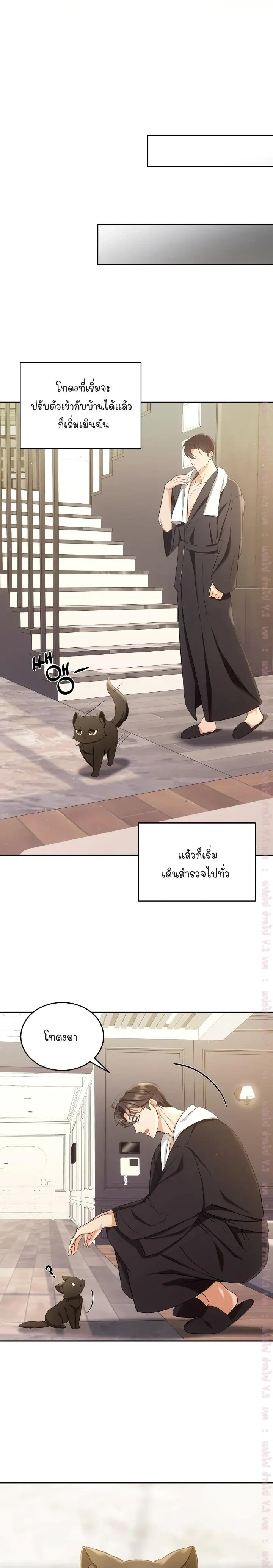 Cat Therapy Love – แมวบำบัดรัก ตอนที่ 2 — page 7 of 21