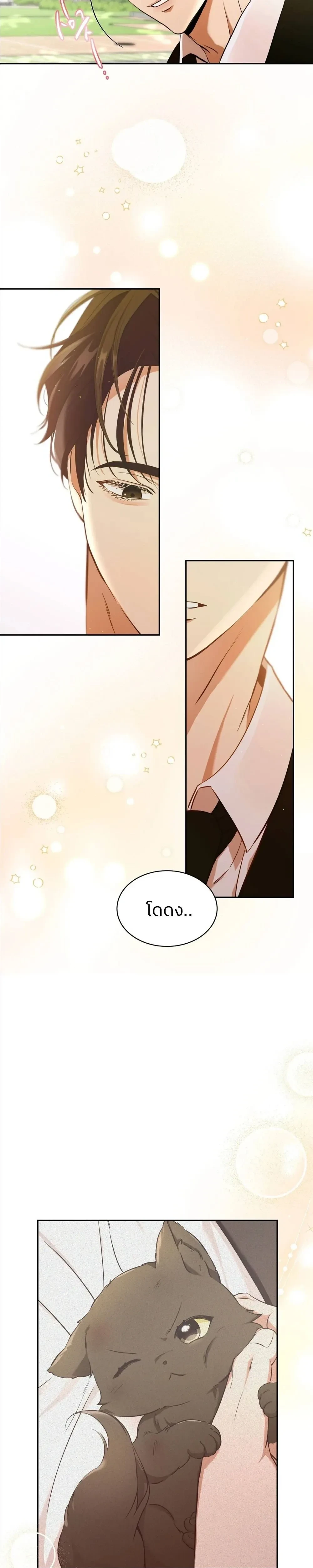 Cat Therapy – ปะปี๊เสพติดเหมียว! ตอนที่ 1 — page 27 of 29