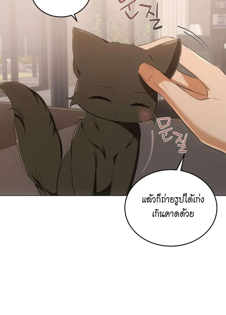 Cat Therapy – ปะปี๊เสพติดเหมียว! ตอนที่ 10 — page 46 of 88