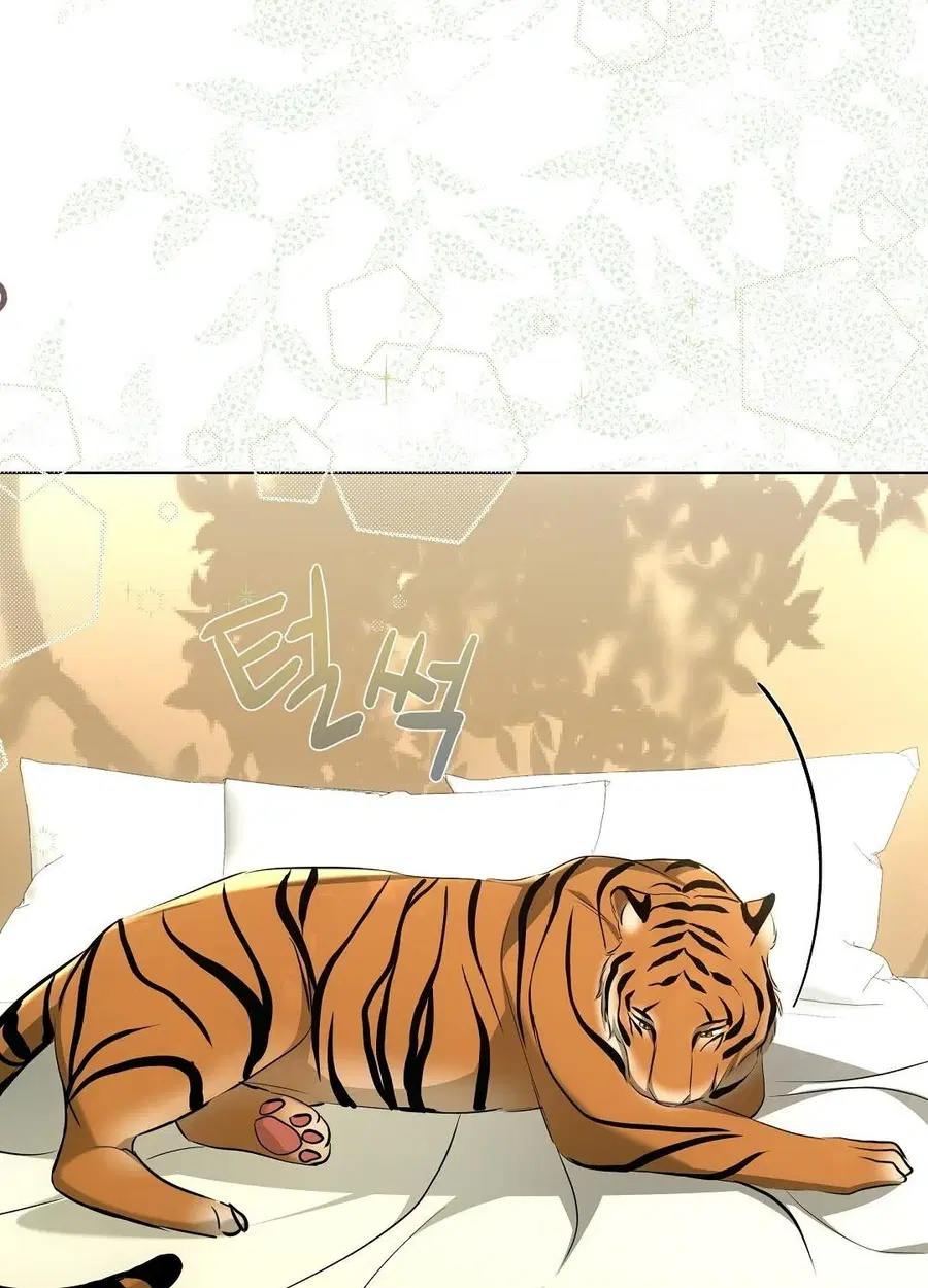 Cat Therapy – ปะปี๊เสพติดเหมียว! ตอนที่ 12 — page 63 of 84
