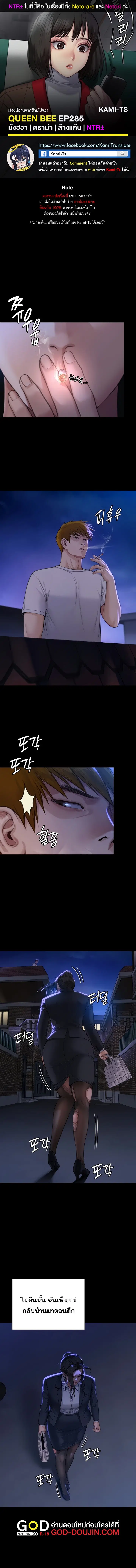 Queen Bee ตอนที่ 285 — page 1 of 24