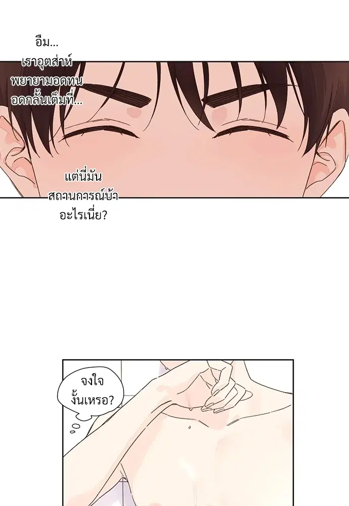 4 Week Lovers ตอนที่ 56 — page 32 of 52