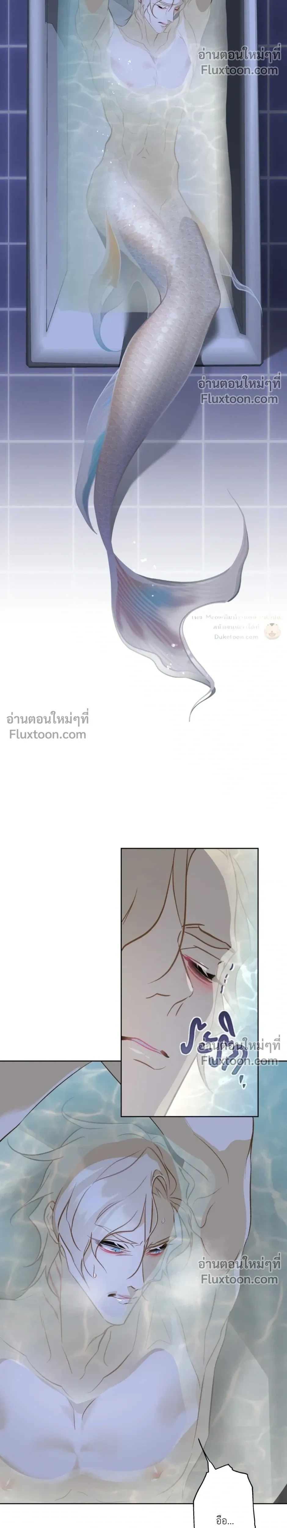 Mermaid – รักแรกของเถ้าแก่ร้านปลาดิบคือนายเงือก ตอนที่ 8 — page 17 of 24