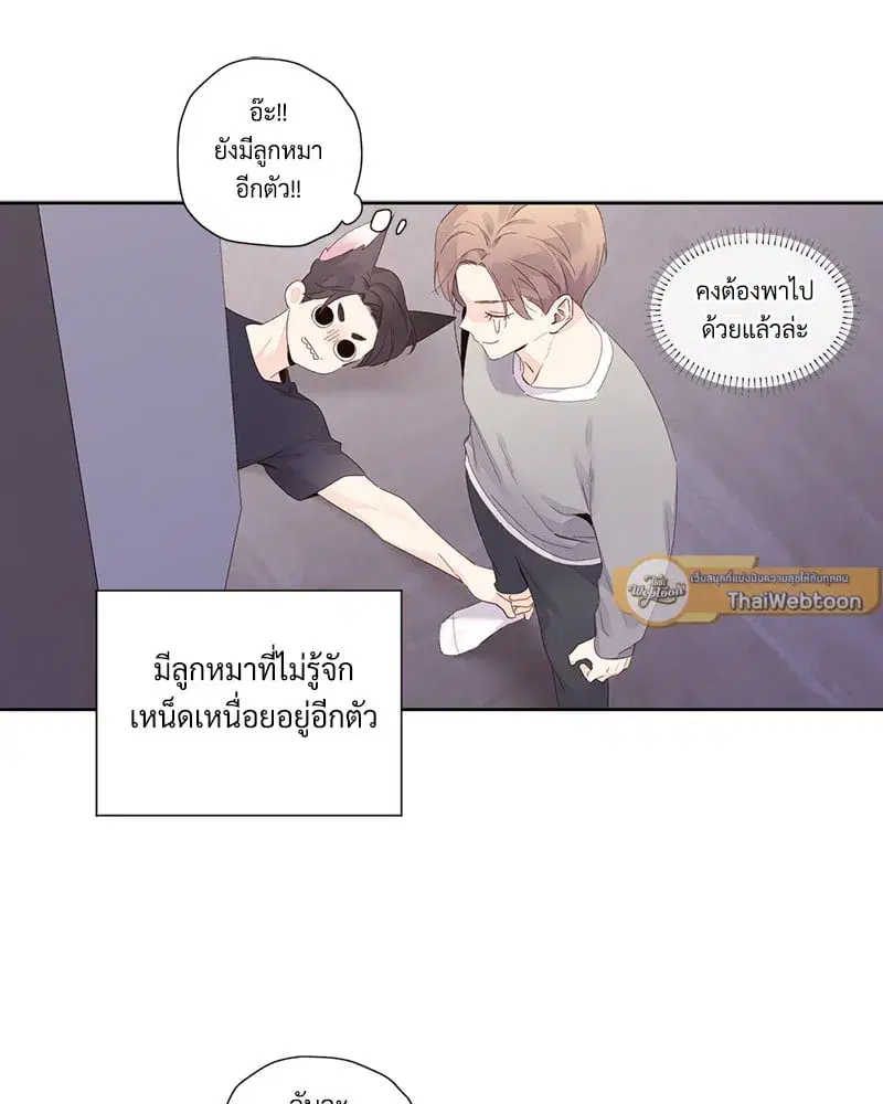 4 Week Lovers ตอนที่ 99 — page 20 of 54