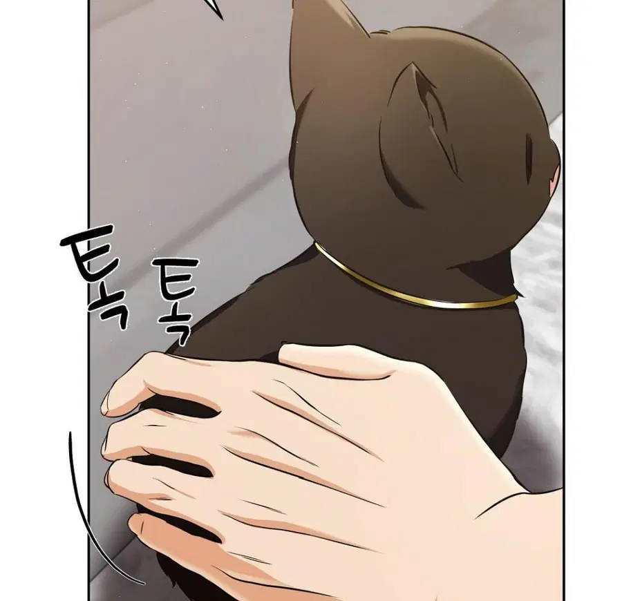 Cat Therapy – ปะปี๊เสพติดเหมียว! ตอนที่ 3 — page 14 of 154