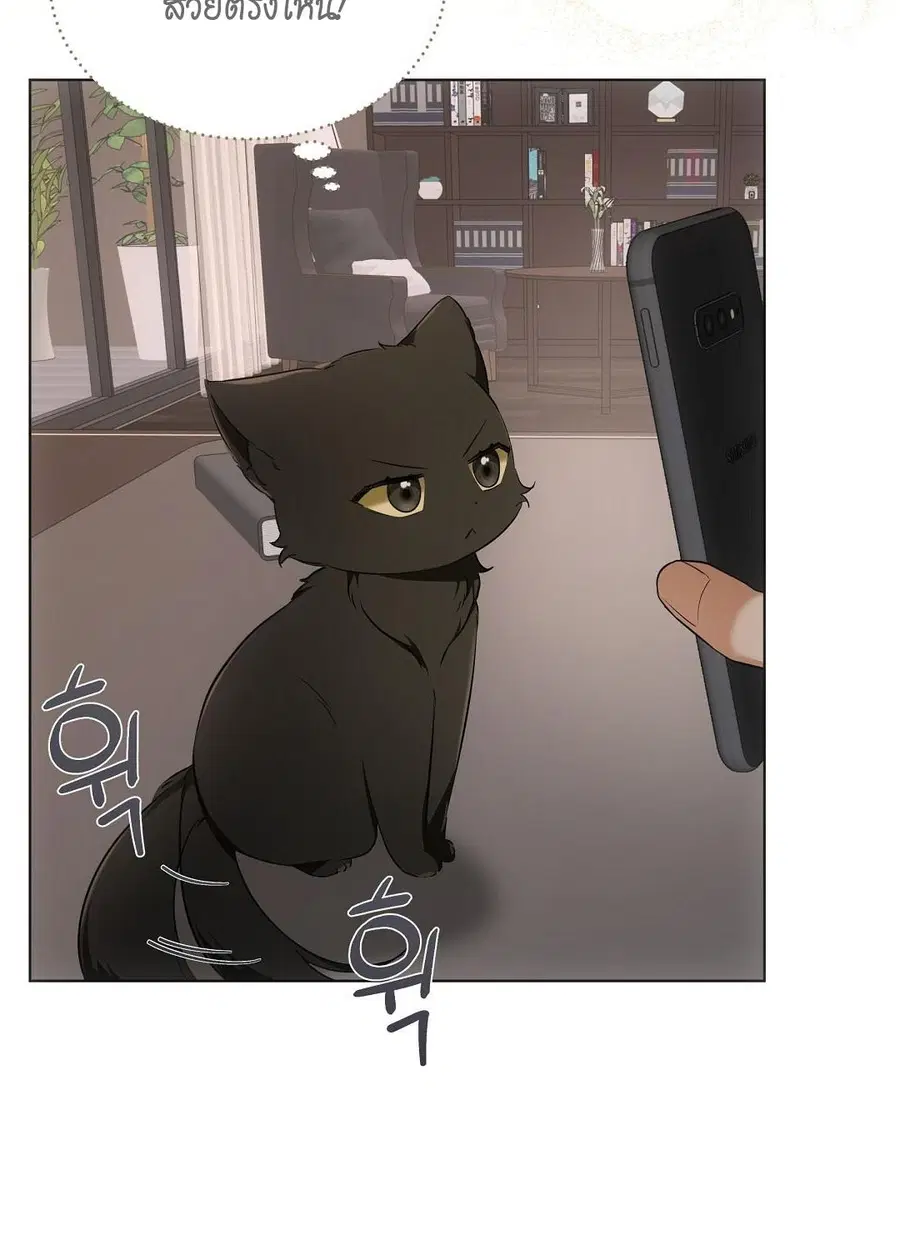 Cat Therapy – ปะปี๊เสพติดเหมียว! ตอนที่ 10 — page 23 of 88