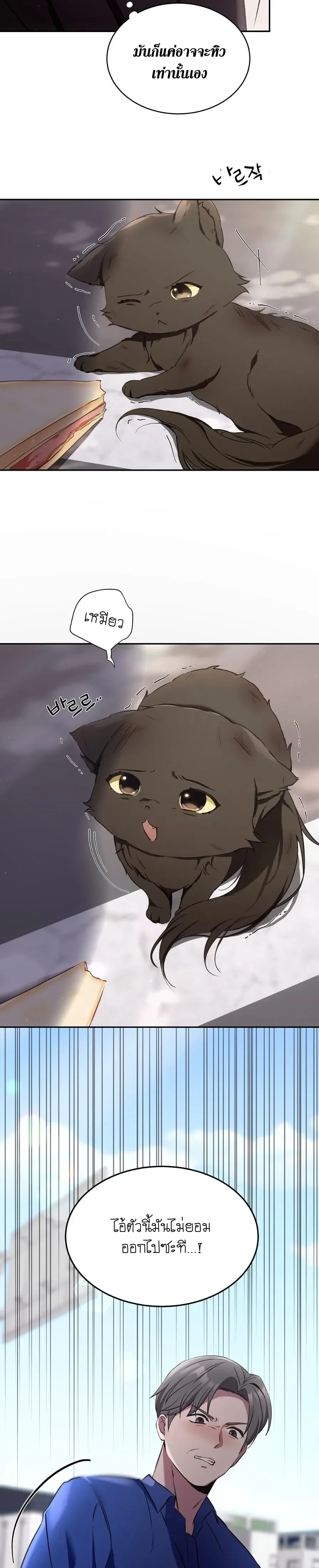 Cat Therapy Love – แมวบำบัดรัก ตอนที่ 1 — page 17 of 28