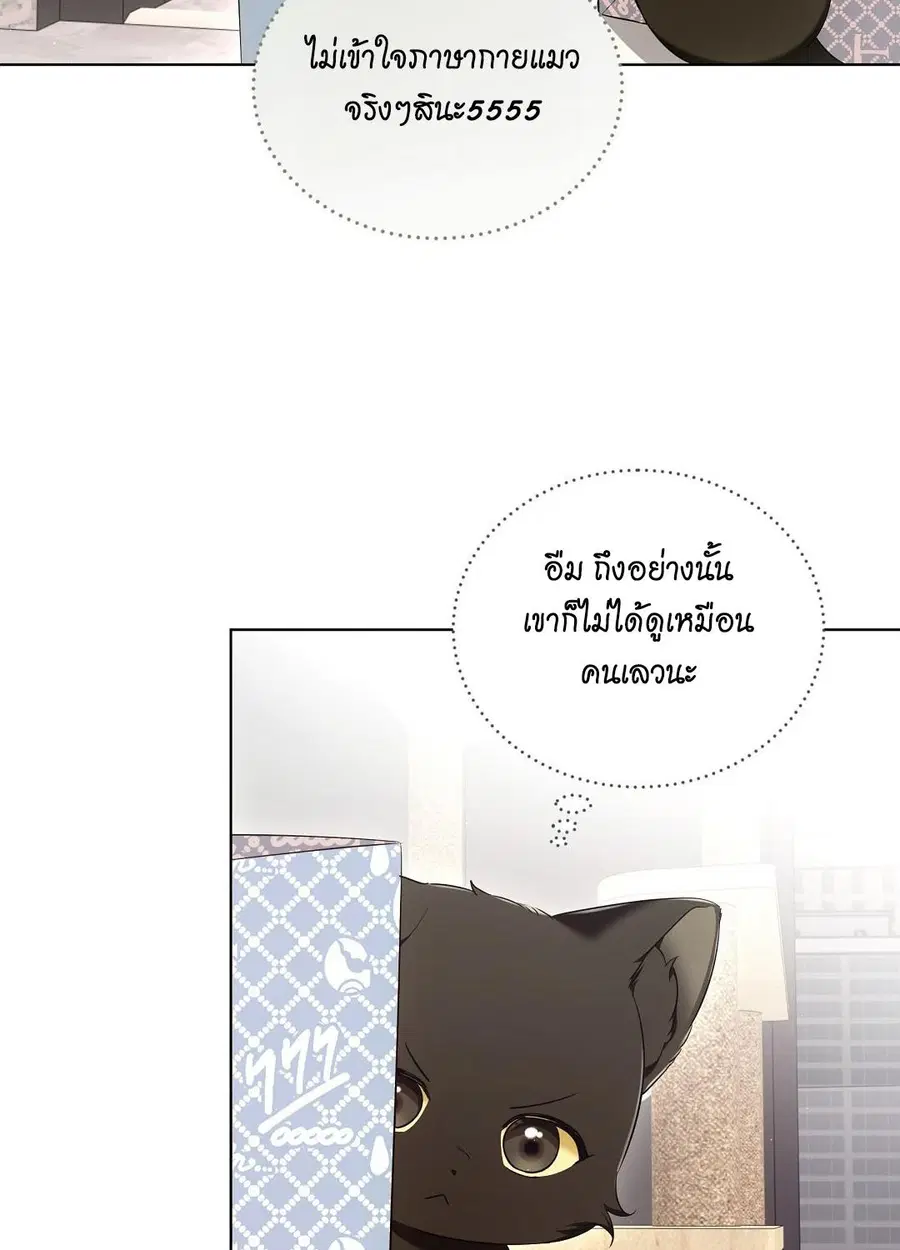 Cat Therapy – ปะปี๊เสพติดเหมียว! ตอนที่ 8 — page 44 of 90