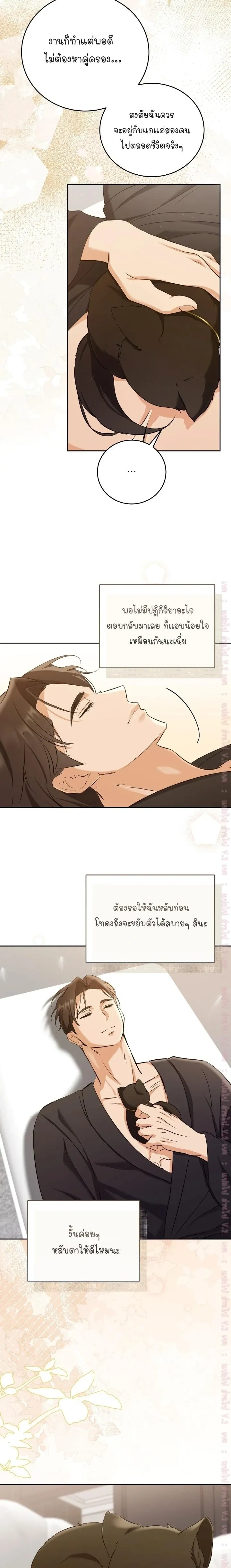 Cat Therapy Love – แมวบำบัดรัก ตอนที่ 3 — page 7 of 22