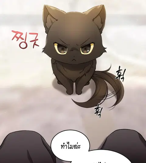 Cat Therapy – ปะปี๊เสพติดเหมียว! ตอนที่ 2 — page 42 of 127