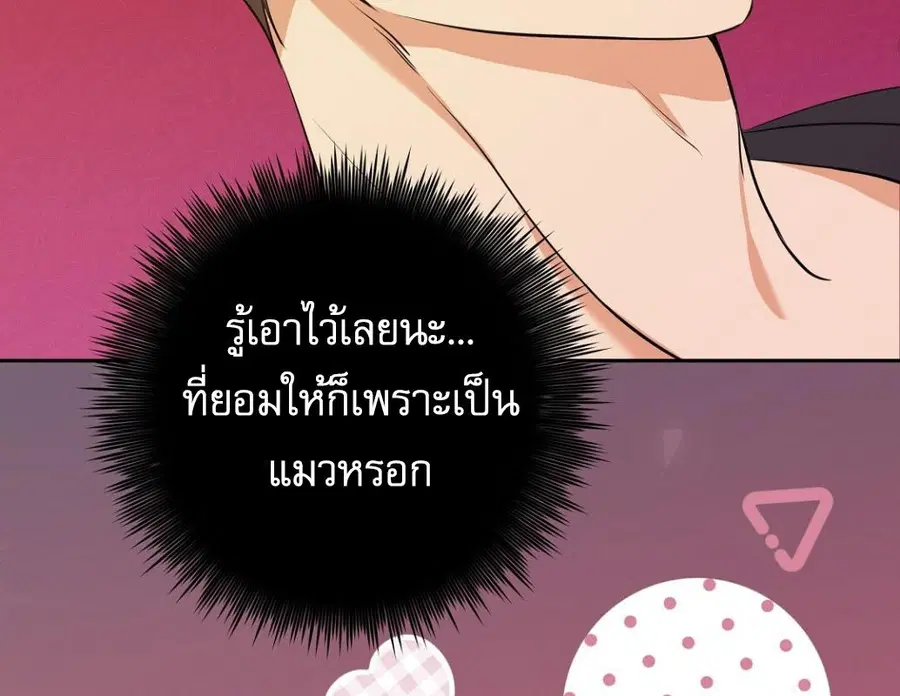 Cat Therapy – ปะปี๊เสพติดเหมียว! ตอนที่ 3 — page 58 of 154