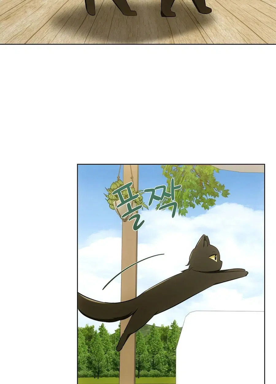 Cat Therapy – ปะปี๊เสพติดเหมียว! ตอนที่ 12 — page 65 of 84