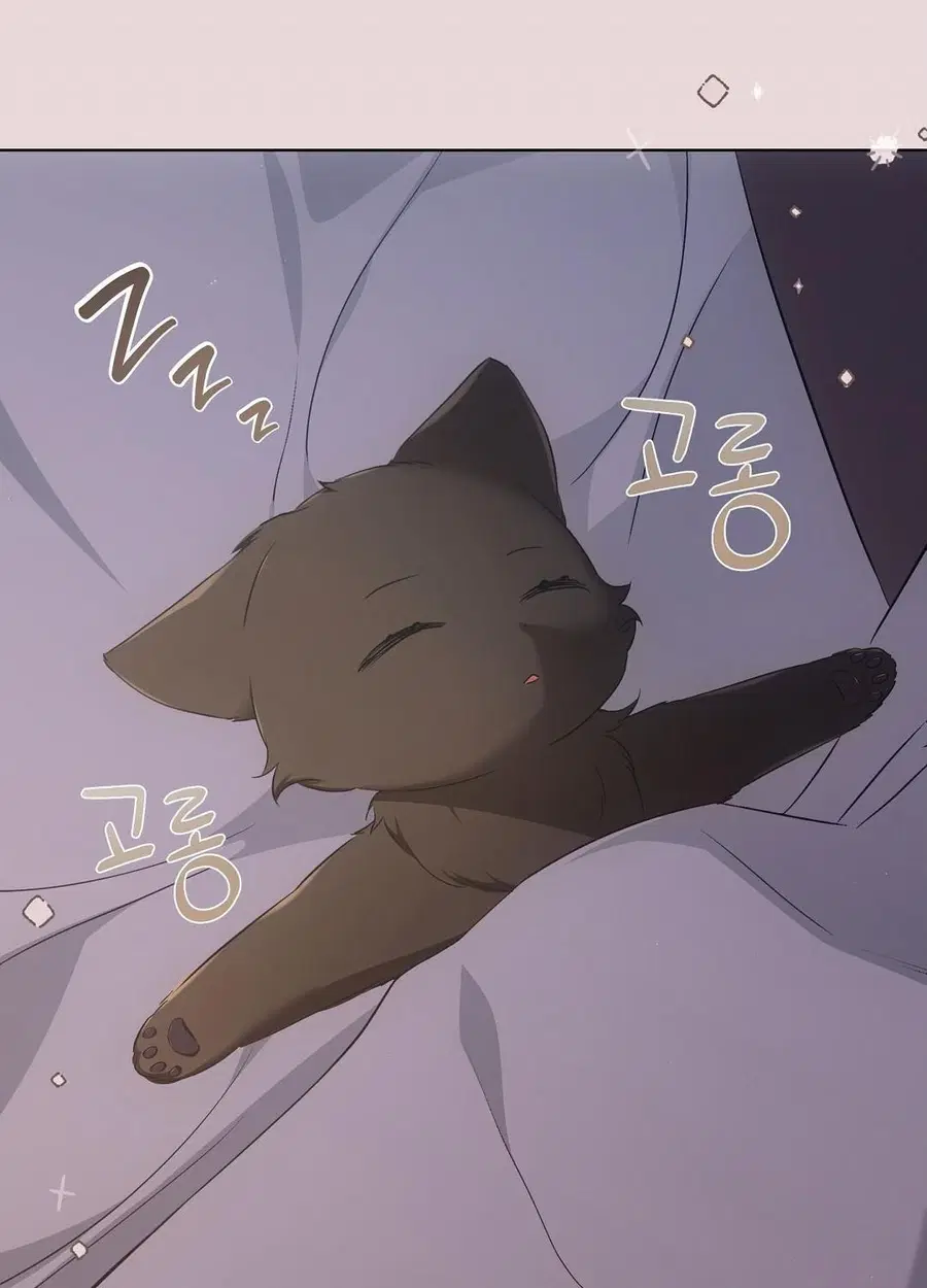 Cat Therapy – ปะปี๊เสพติดเหมียว! ตอนที่ 10 — page 76 of 88