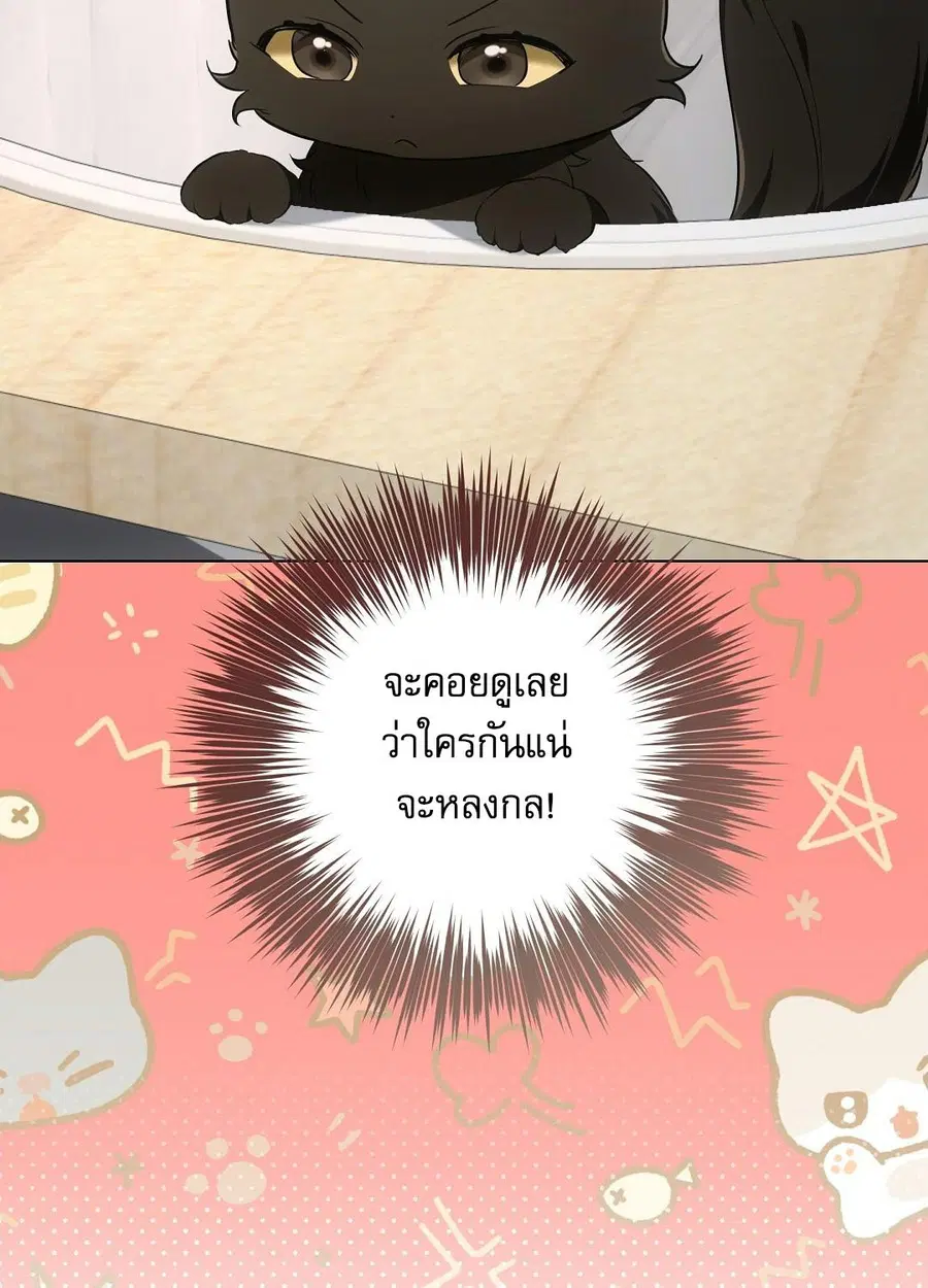 Cat Therapy – ปะปี๊เสพติดเหมียว! ตอนที่ 10 — page 87 of 88