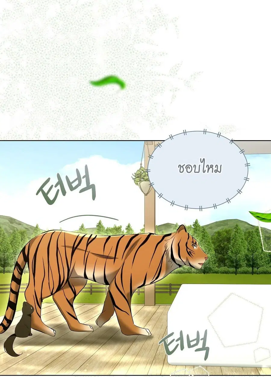 Cat Therapy – ปะปี๊เสพติดเหมียว! ตอนที่ 12 — page 62 of 84