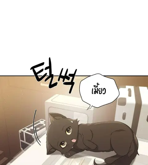 Cat Therapy – ปะปี๊เสพติดเหมียว! ตอนที่ 2 — page 27 of 127