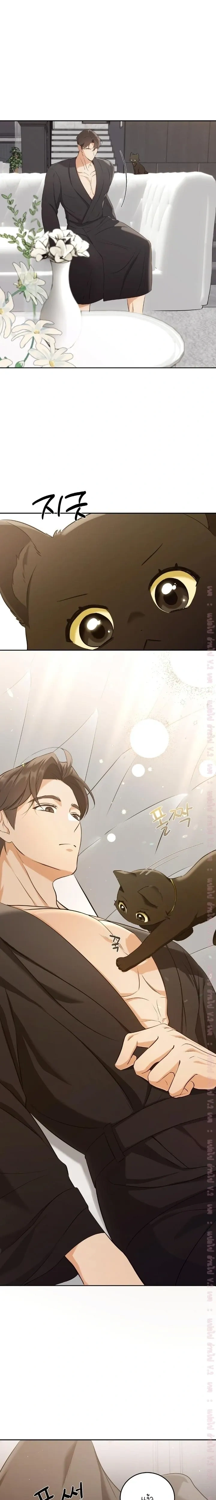Cat Therapy Love – แมวบำบัดรัก ตอนที่ 3 — page 5 of 22