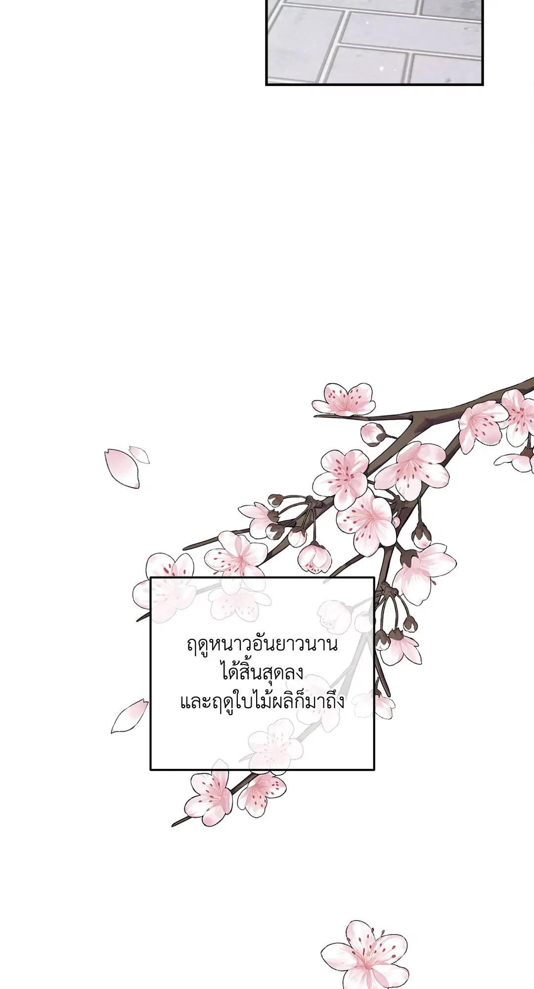 Roses and Champagne ตอนที่ 73 — page 41 of 60