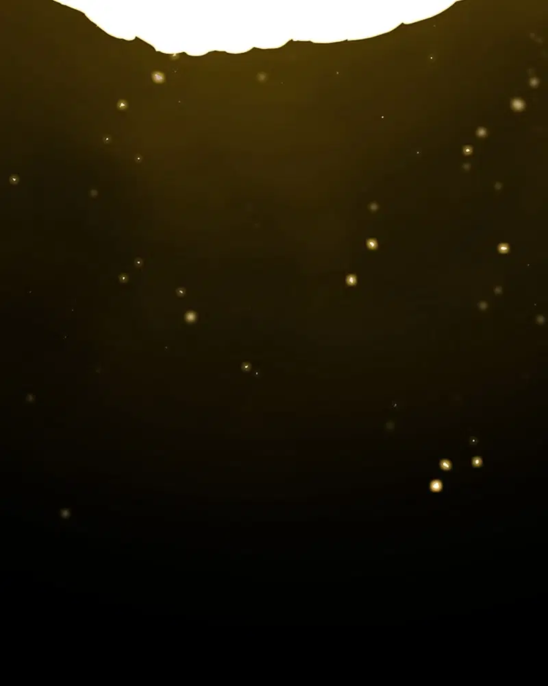 The Player ตอนที่ 132 — page 27 of 187