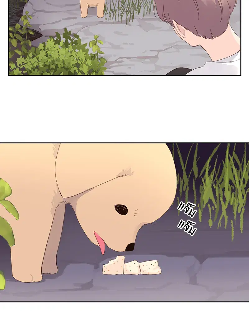 4 Week Lovers ตอนที่ 84 — page 33 of 53