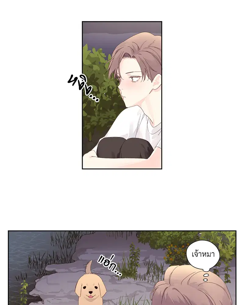 4 Week Lovers ตอนที่ 84 — page 32 of 53