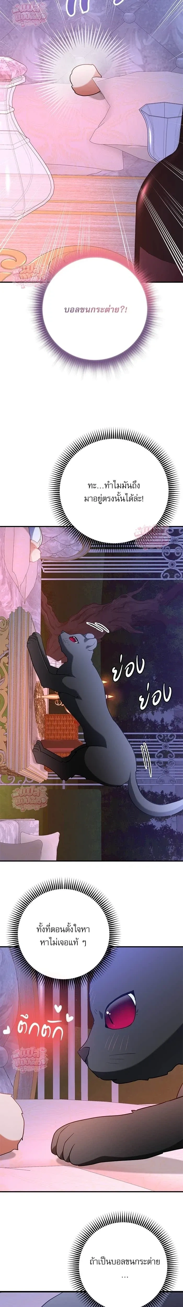 Mon mari lapin insatiable – สามีกระต่ายไม่ตรงปก ตอนที่ 2 — page 13 of 19