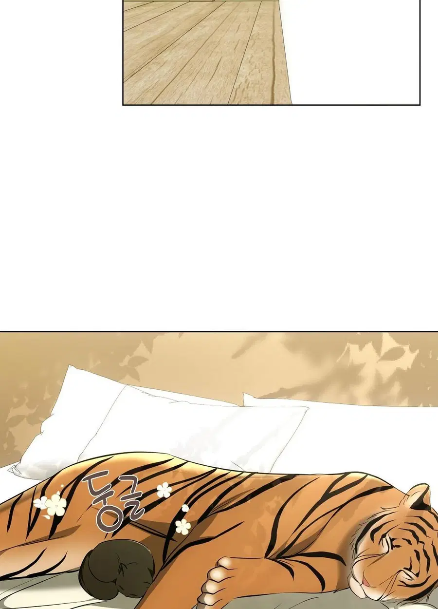 Cat Therapy – ปะปี๊เสพติดเหมียว! ตอนที่ 12 — page 66 of 84