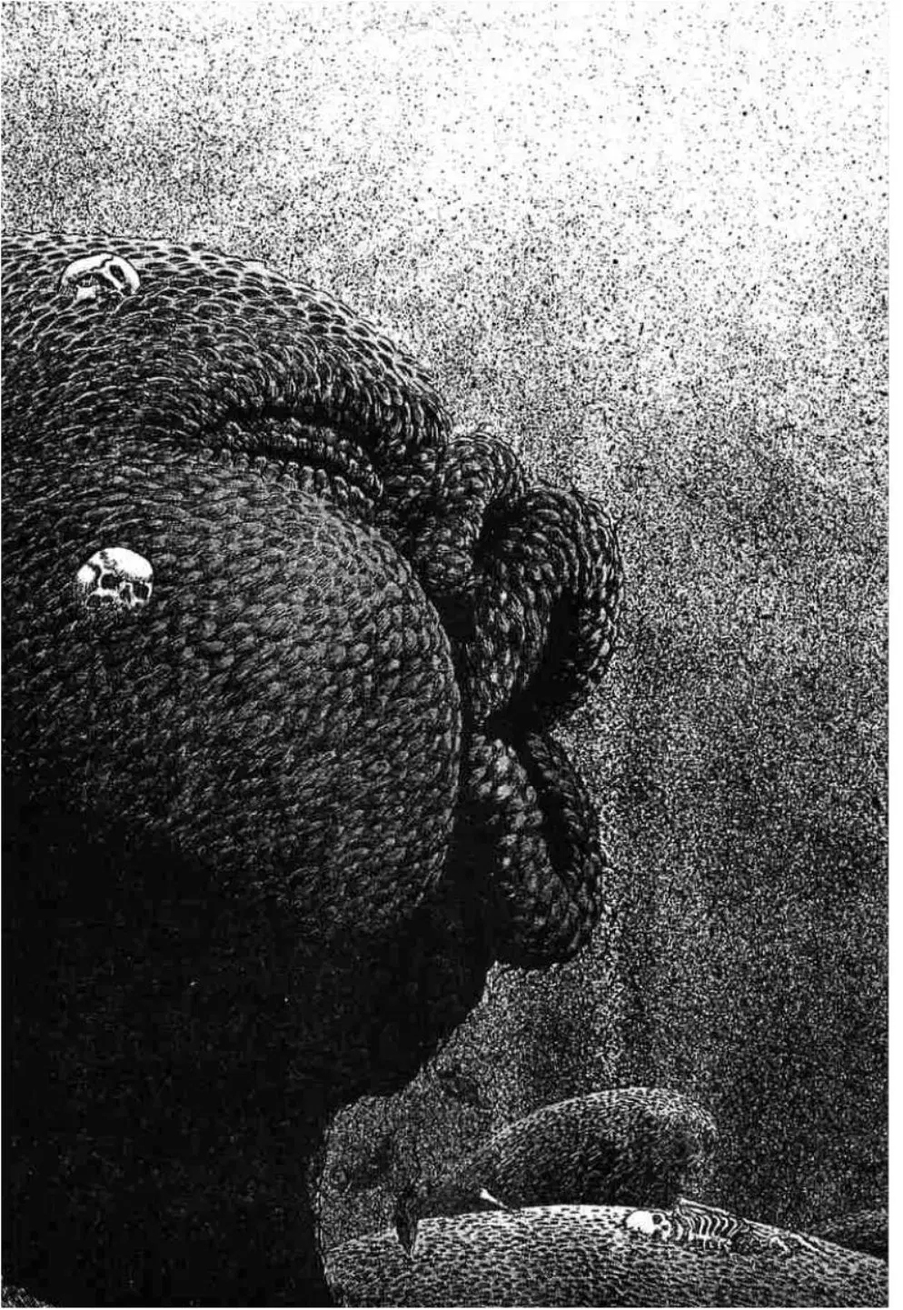 Berserk ตอนที่ 306 — page 31 of 39