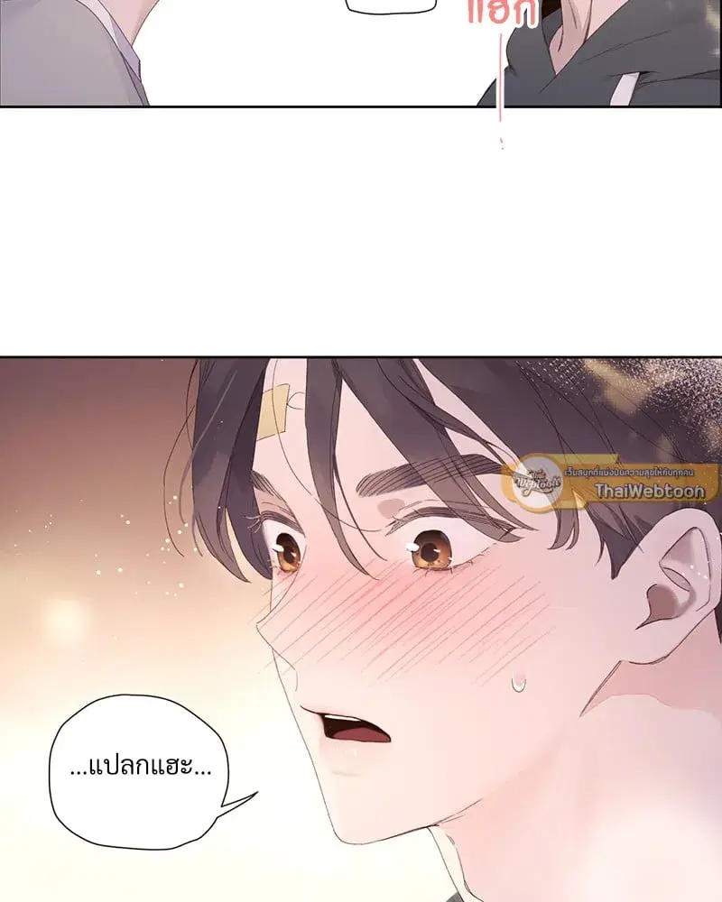 4 Week Lovers ตอนที่ 101 — page 50 of 53