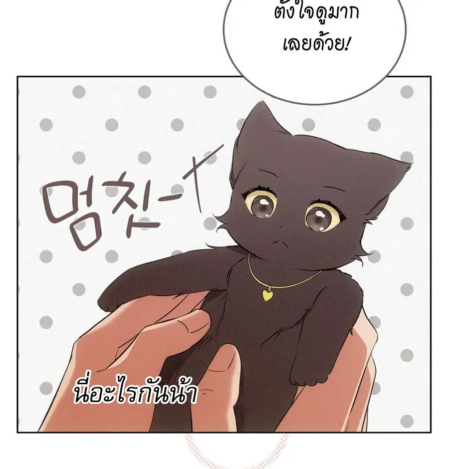 Cat Therapy – ปะปี๊เสพติดเหมียว! ตอนที่ 6 — page 67 of 140