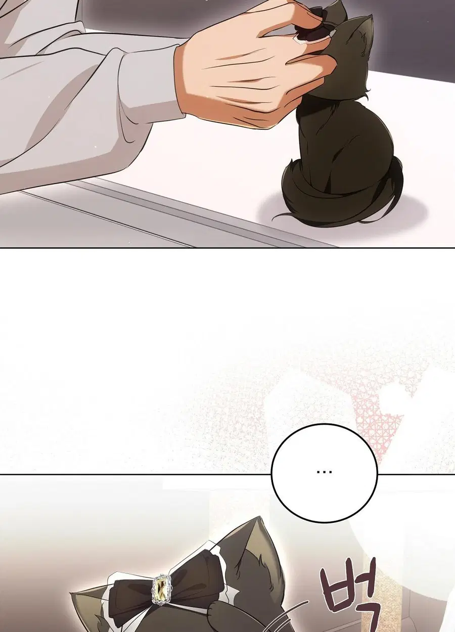 Cat Therapy – ปะปี๊เสพติดเหมียว! ตอนที่ 8 — page 53 of 90