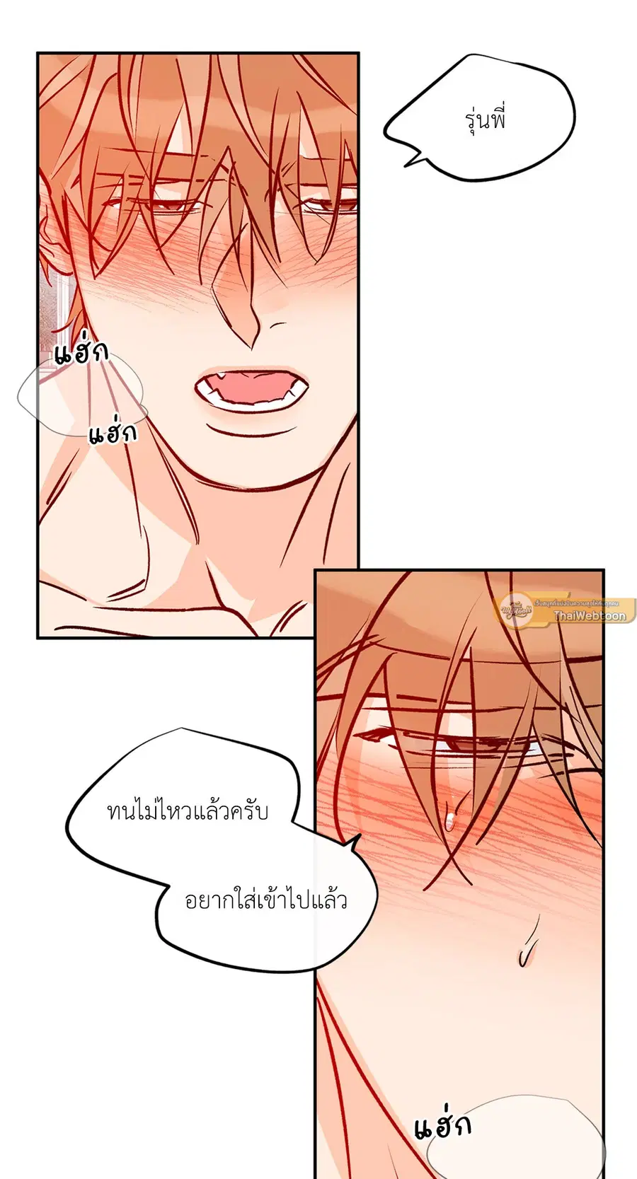 Lucky Paradise ตอนที่ 81.21 — page 5 of 66
