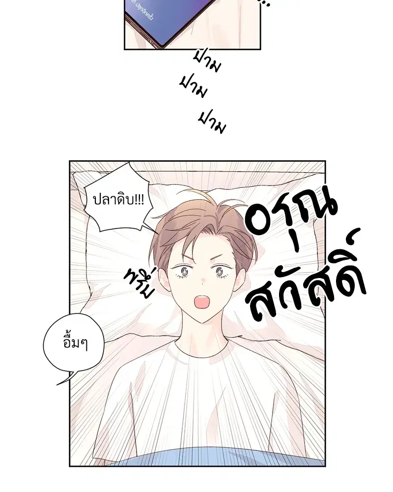 4 Week Lovers ตอนที่ 80 — page 62 of 66