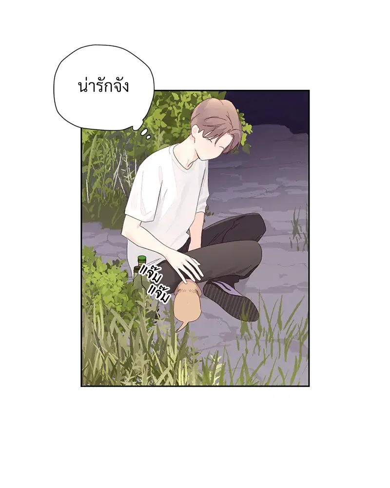 4 Week Lovers ตอนที่ 84 — page 34 of 53
