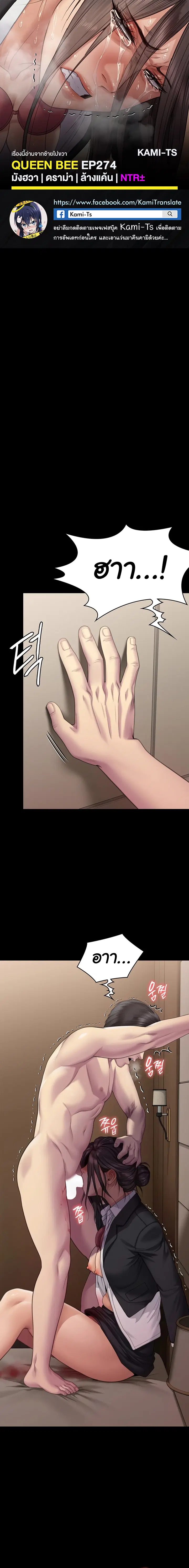 Queen Bee ตอนที่ 274 — page 1 of 15