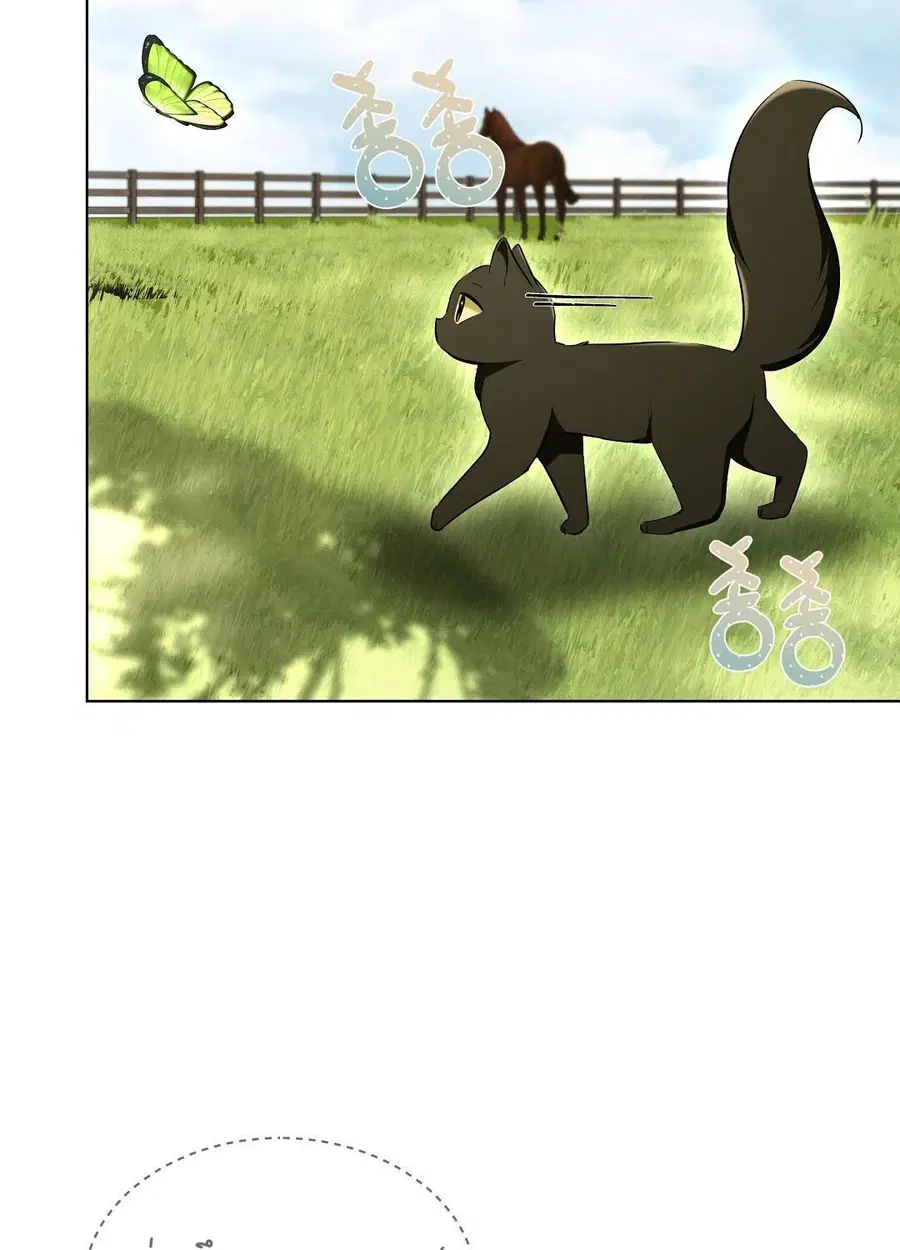 Cat Therapy – ปะปี๊เสพติดเหมียว! ตอนที่ 12 — page 41 of 84