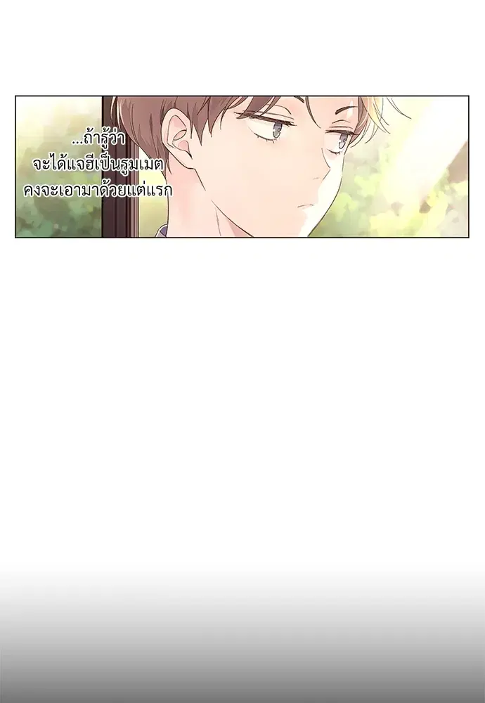 4 Week Lovers ตอนที่ 42 — page 34 of 43