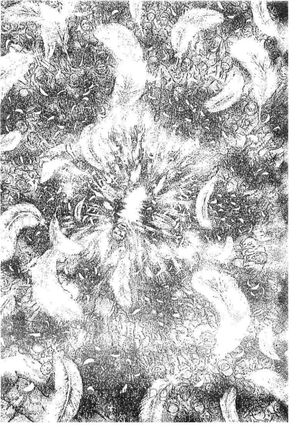 Berserk ตอนที่ 183 — page 7 of 16