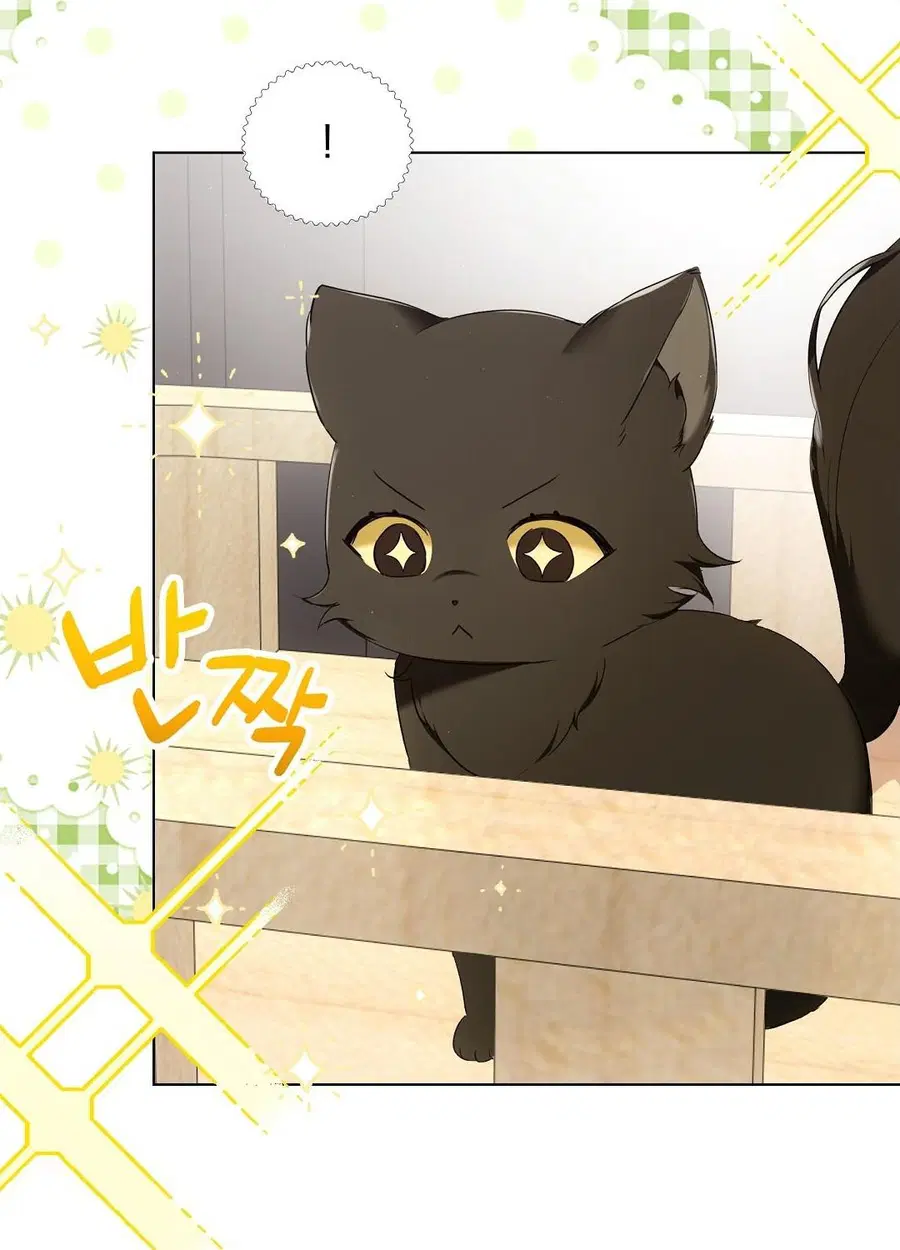 Cat Therapy – ปะปี๊เสพติดเหมียว! ตอนที่ 8 — page 36 of 90