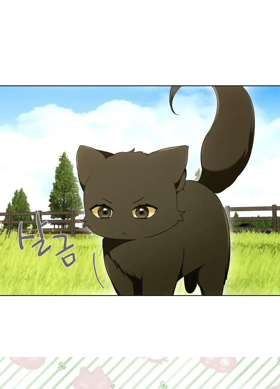Cat Therapy – ปะปี๊เสพติดเหมียว! ตอนที่ 12 — page 27 of 84