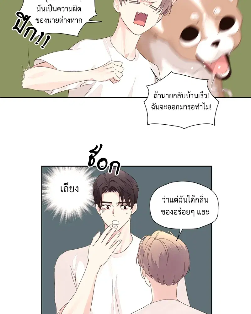 4 Week Lovers ตอนที่ 80 — page 48 of 66