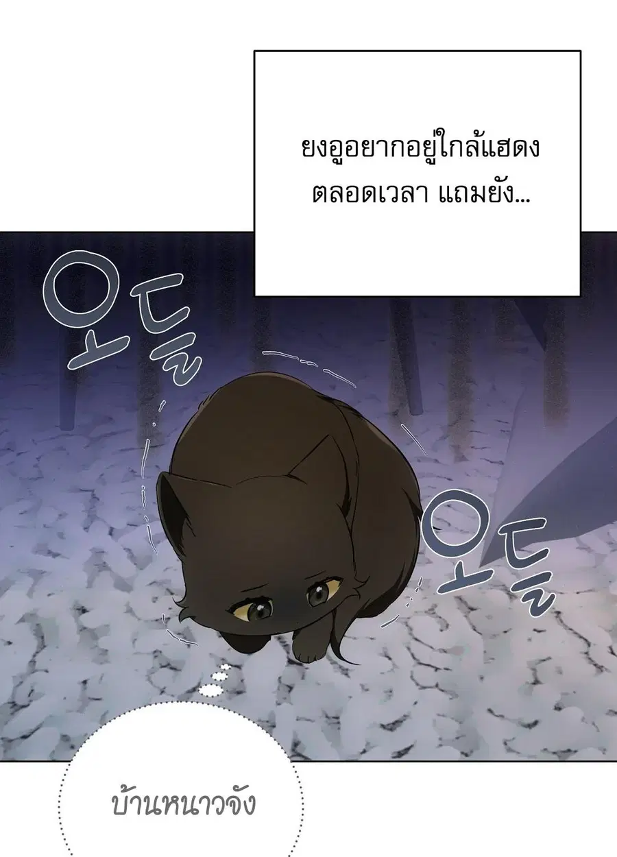 Cat Therapy – ปะปี๊เสพติดเหมียว! ตอนที่ 10 — page 70 of 88