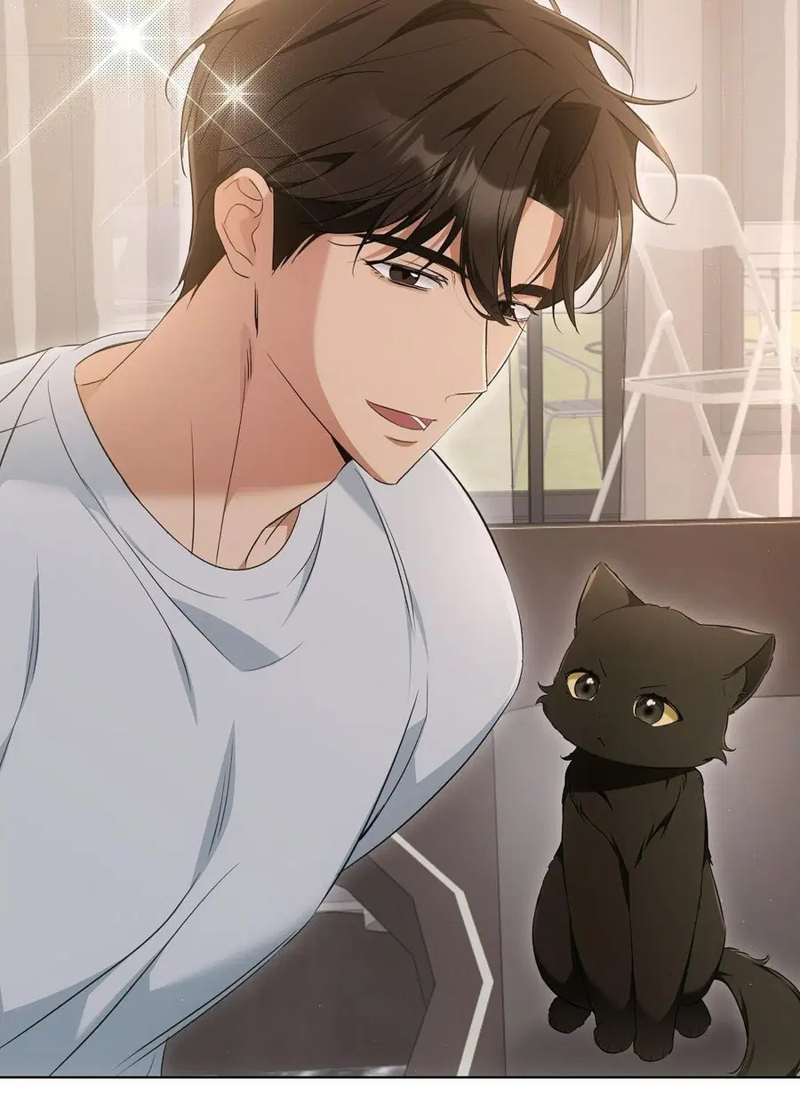 Cat Therapy – ปะปี๊เสพติดเหมียว! ตอนที่ 10 — page 41 of 88