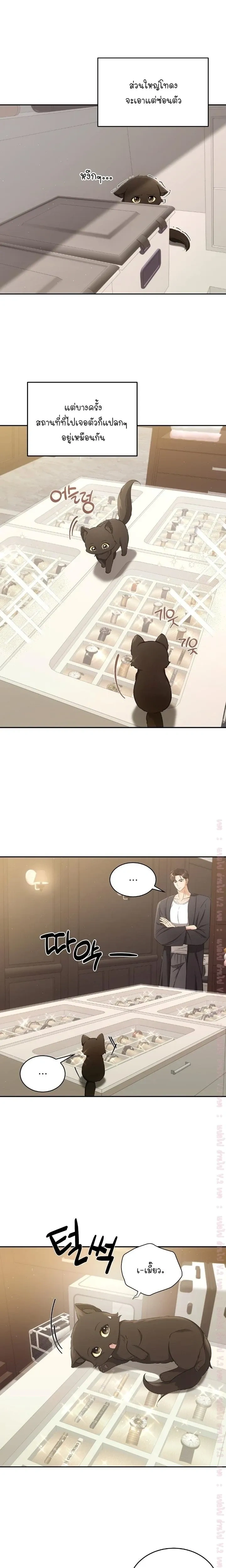 Cat Therapy Love – แมวบำบัดรัก ตอนที่ 2 — page 5 of 21