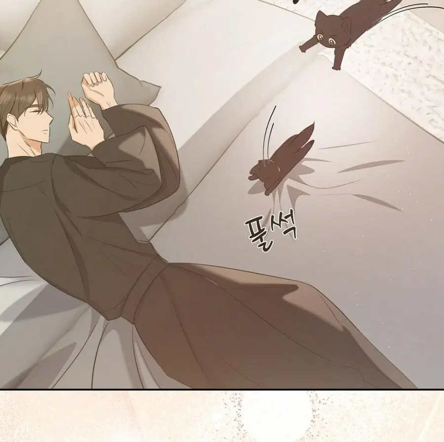 Cat Therapy – ปะปี๊เสพติดเหมียว! ตอนที่ 4 — page 27 of 142