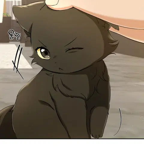 Cat Therapy – ปะปี๊เสพติดเหมียว! ตอนที่ 2 — page 46 of 127